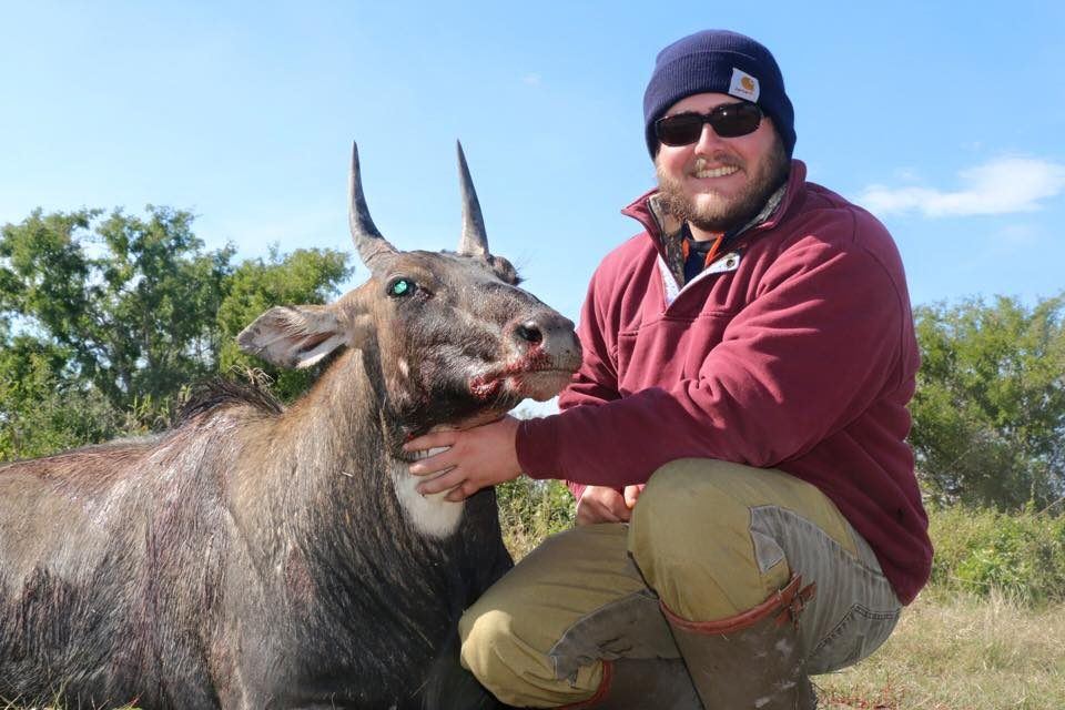 Nilgai taken by a Double Shot client in South Texas