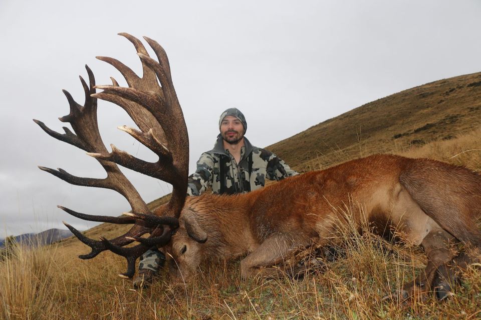 Red Stag taken by a Double Shot client in New Zealand