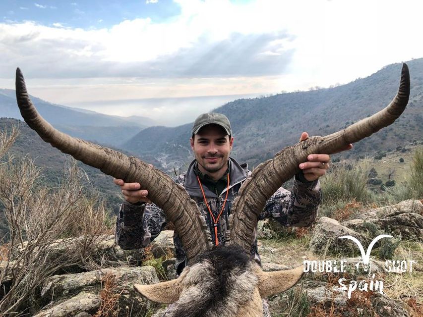 Ibex taken by a Double Shot client in Spain